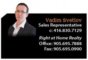 Vadim Svetlov_card